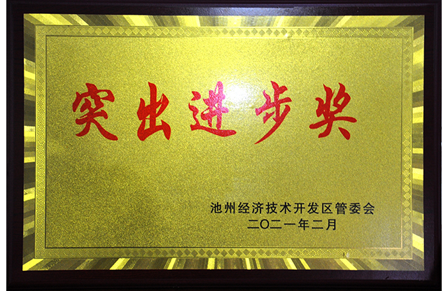 突出進(jìn)步獎(jiǎng).jpg